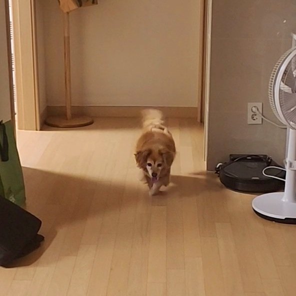 FindFamilyBeige's tweet photo. 다가오는 중... https://t.co/FQ2Zc7TBdL
