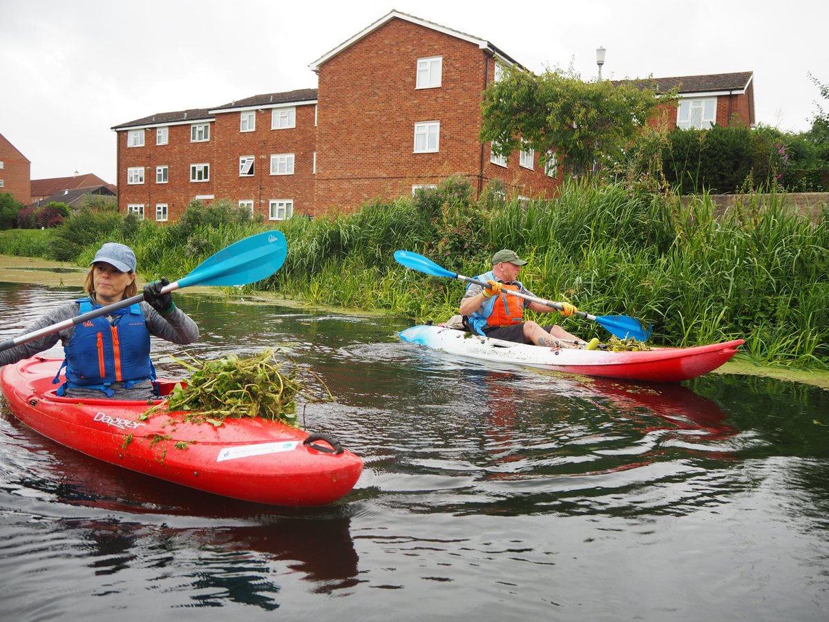 AW Coast & Country (@awcoastcountry) on Twitter photo Major project eradicating Floating Pennywort on a 7km stretch, River Gt Ouse. We're working with Woodlands & Water Management Ltd, in 2021 - 34 patches, 2022 only 15 v small patches. We're also working with <a href="/River_Care/">RiverCare&BeachCare</a>
<a href="/CheckCleanDryGB/">Check Clean Dry GB</a> <a href="/InvasiveSp/">Invasive Species Week</a> <a href="/EnvAgencyAnglia/">EnvAgencyAnglia</a> #INNSweek Major project eradicating Floating Pennywort on a 7km stretch, River Gt Ouse. We're working with Woodlands & Water Management Ltd, in 2021 - 34 patches, 2022 only 15 v small patches. We're also working with <a href="/River_Care/">RiverCare&BeachCare</a>
<a href="/CheckCleanDryGB/">Check Clean Dry GB</a> <a href="/InvasiveSp/">Invasive Species Week</a> <a href="/EnvAgencyAnglia/">EnvAgencyAnglia</a> #INNSweek