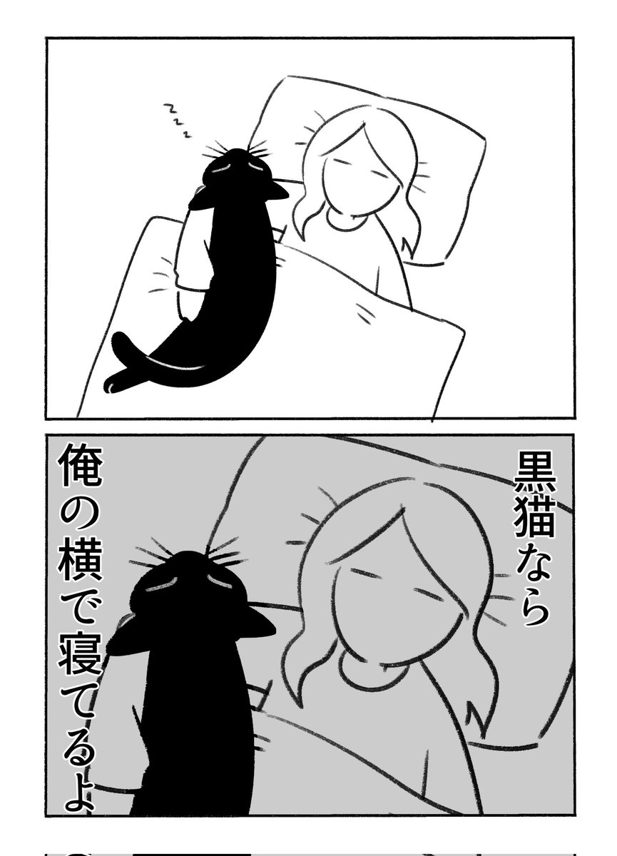 うちの猫寝方