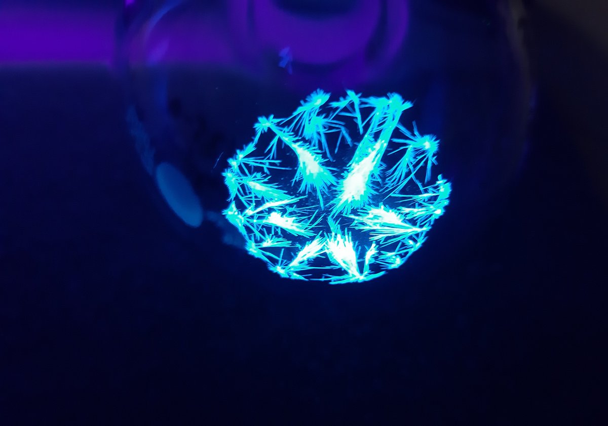 IDLofficial's tweet photo. 🎊The winning photo taken by Chand Hemender @LimOptixChapter - IDL Photo Contest 🎊
Bight blue emission seen under a UV lamp of the heptazine derivatives which were synthesised and obtained as crystals. 
#LightDay2023 https://t.co/SSmOjKa2In