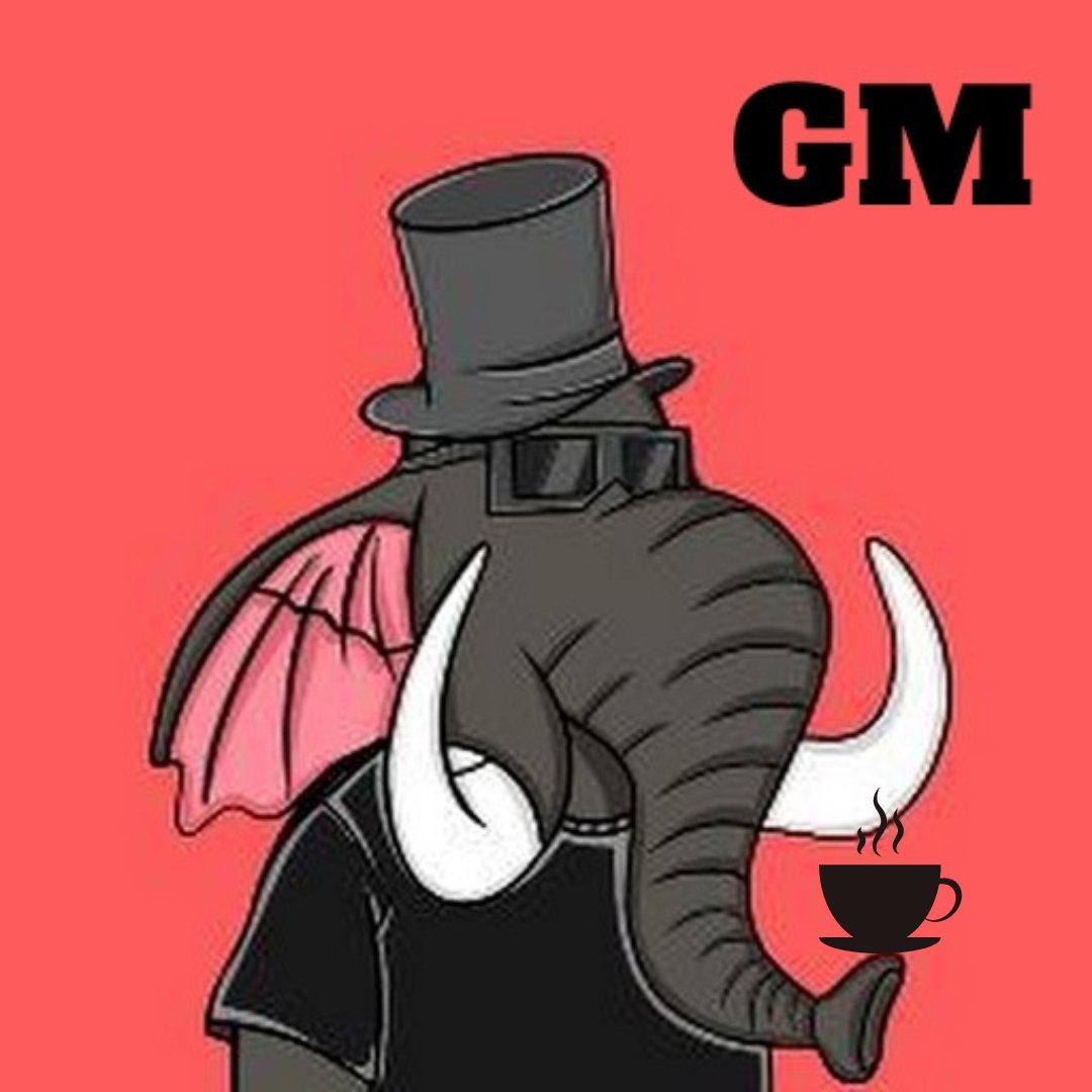 Gm 😎