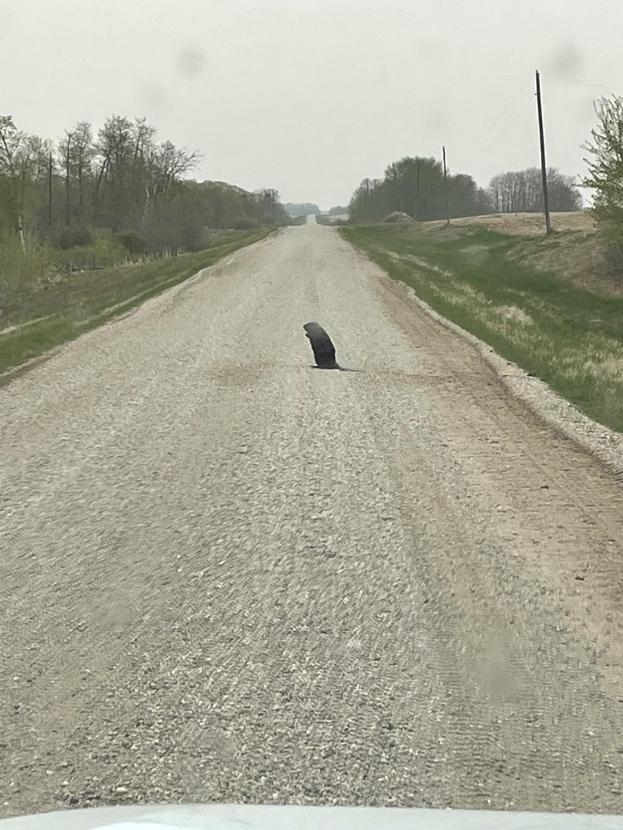 Wyatt Kieper tweet media