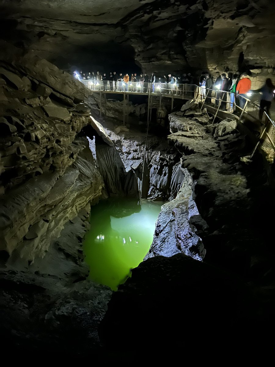 Mammoth Cave NP tweet media