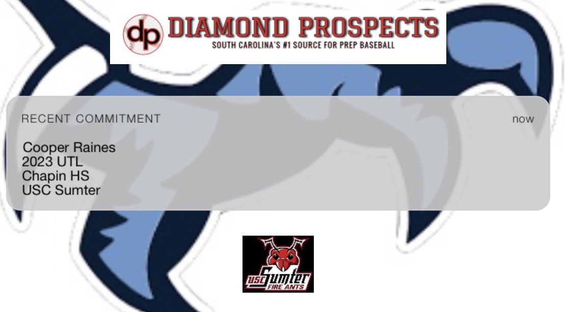 On Monday, Chapin HS 2023 UTL Cooper Raines made a commitment to play college baseball at USC Sumter.