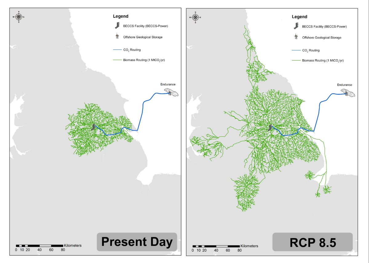 Muir Freer tweet media