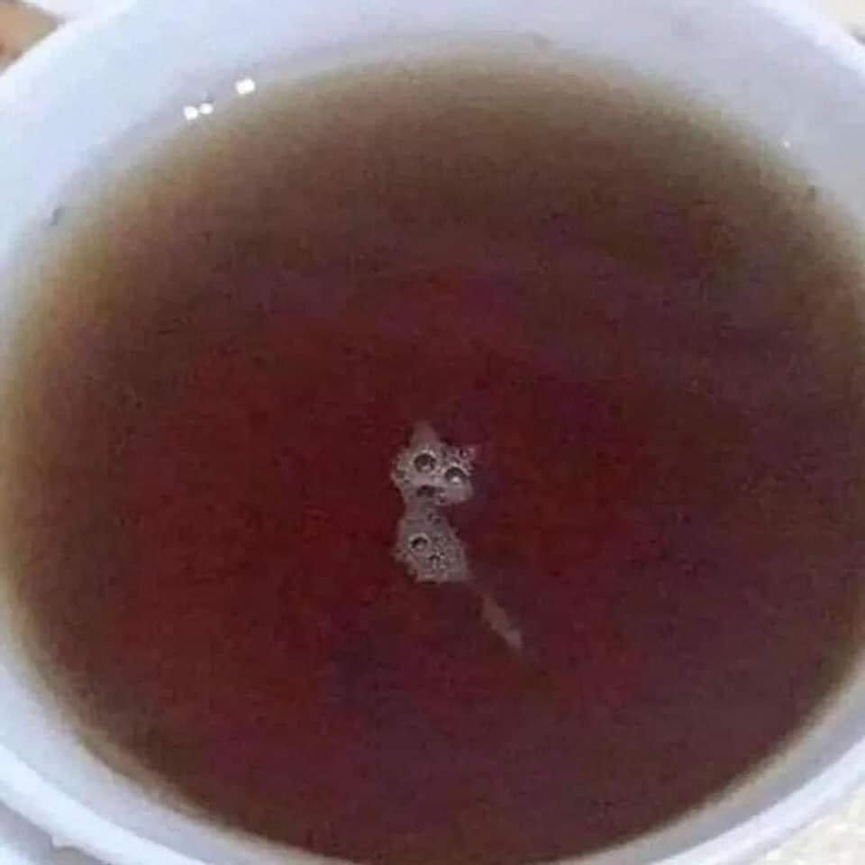 Gavin Thomas tweet media