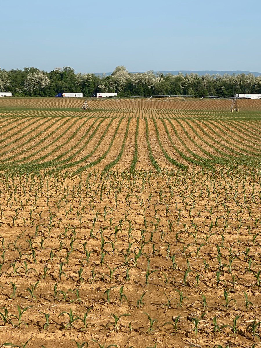 Stephanie Smith tweet media