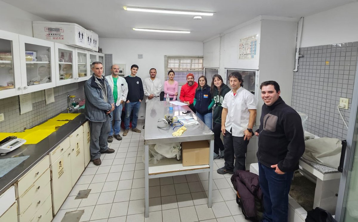 MinProSantaCruz's tweet photo. 🔹Pesca articuló con Tierra del Fuego jornadas de intercambio técnico sobre cultivo de mejillones y toxinas en moluscos para avanzar con la producción acuícola en #SantaCruz
Más info 📷 https://t.co/uEV220nJPt
#MinPro #Pesca https://t.co/EKVSxVb6v7