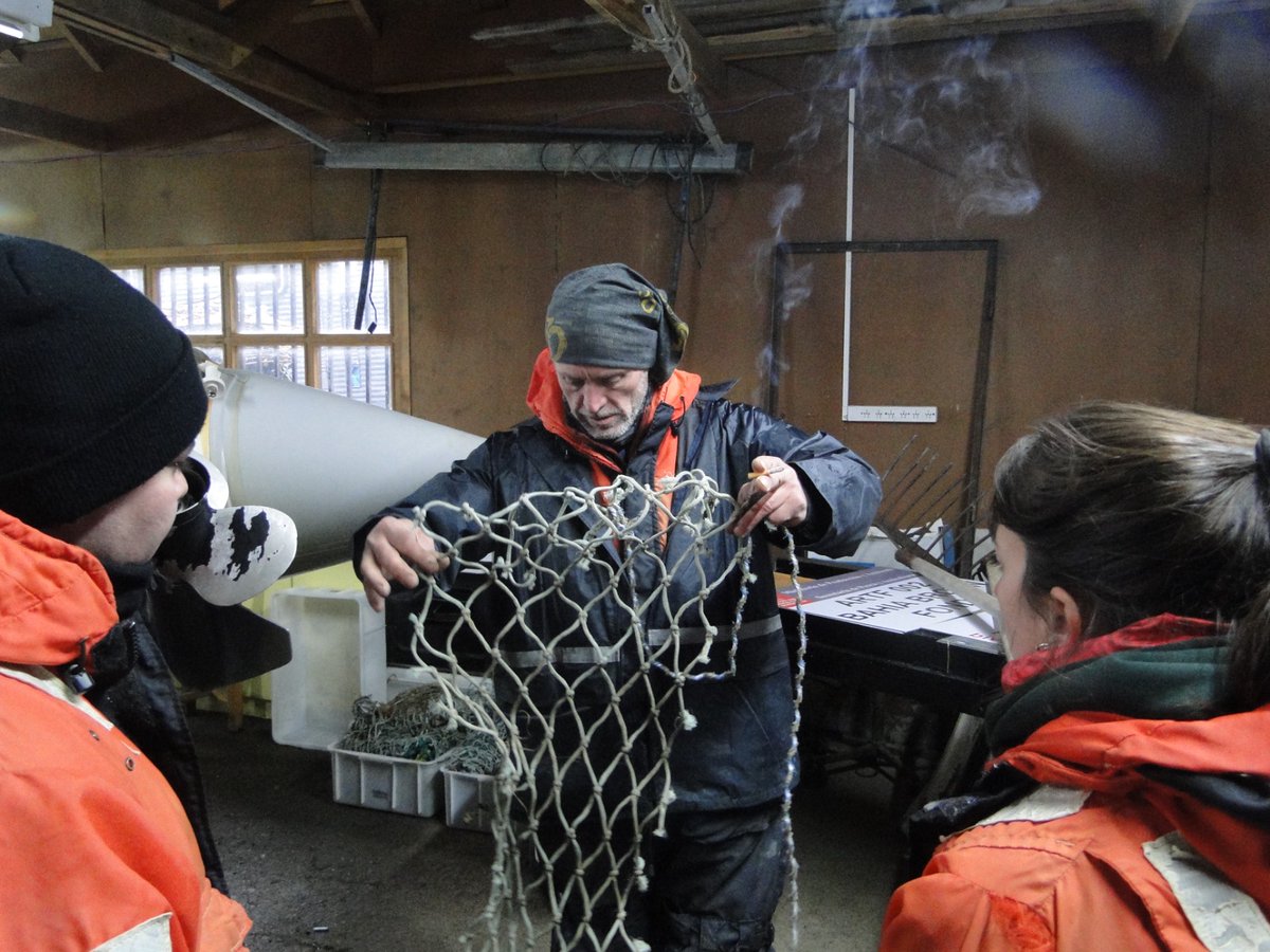 MinProSantaCruz's tweet photo. 🔹Pesca articuló con Tierra del Fuego jornadas de intercambio técnico sobre cultivo de mejillones y toxinas en moluscos para avanzar con la producción acuícola en #SantaCruz
Más info 📷 https://t.co/uEV220nJPt
#MinPro #Pesca https://t.co/EKVSxVb6v7