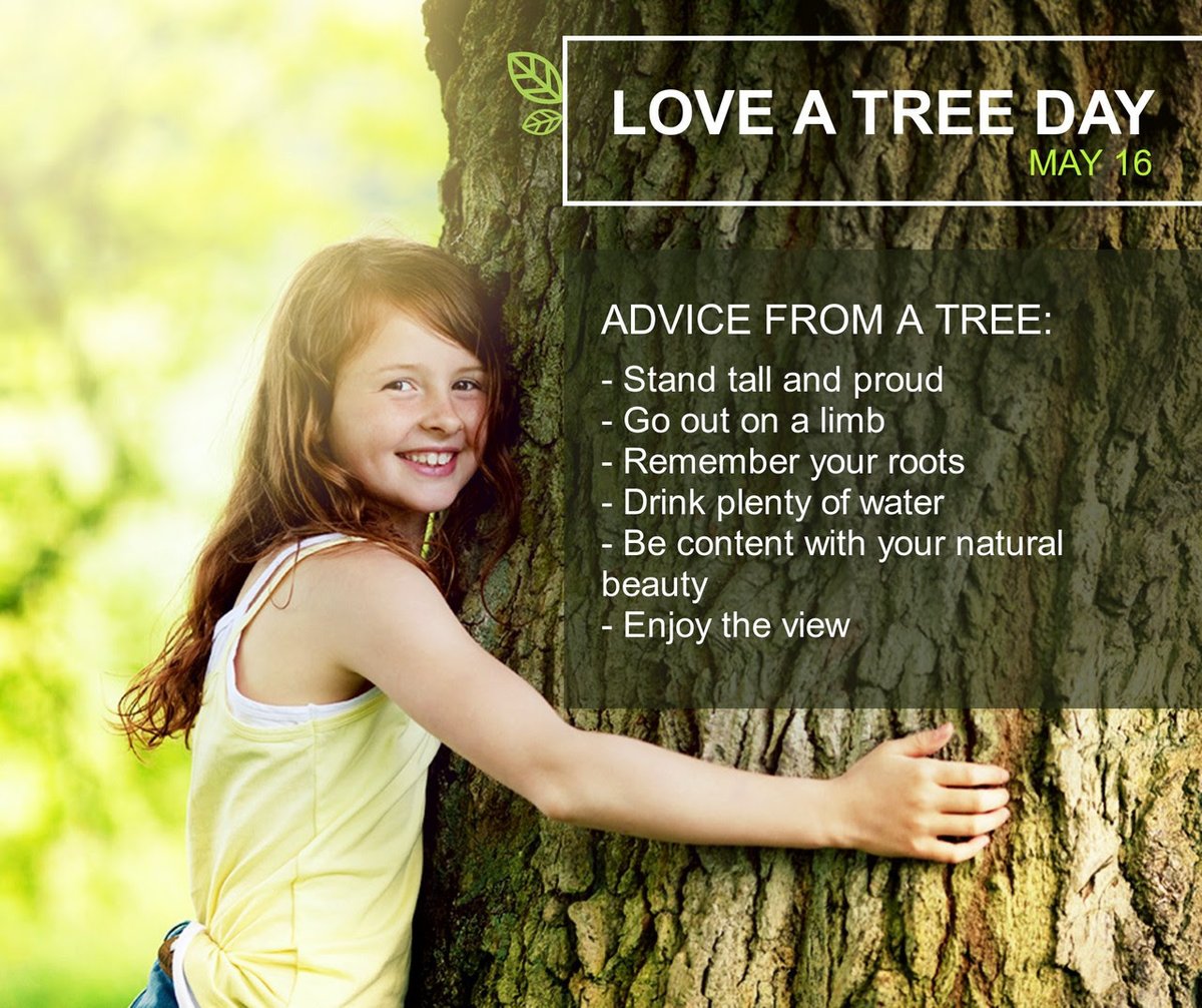 You're TREEmendous!
Happy National Love a Tree Day!
Celebrating the joys of life provided by trees😍
We would LOVE to see a pic of your favorite tree or videos of you planting a tree #LoveATreeDay