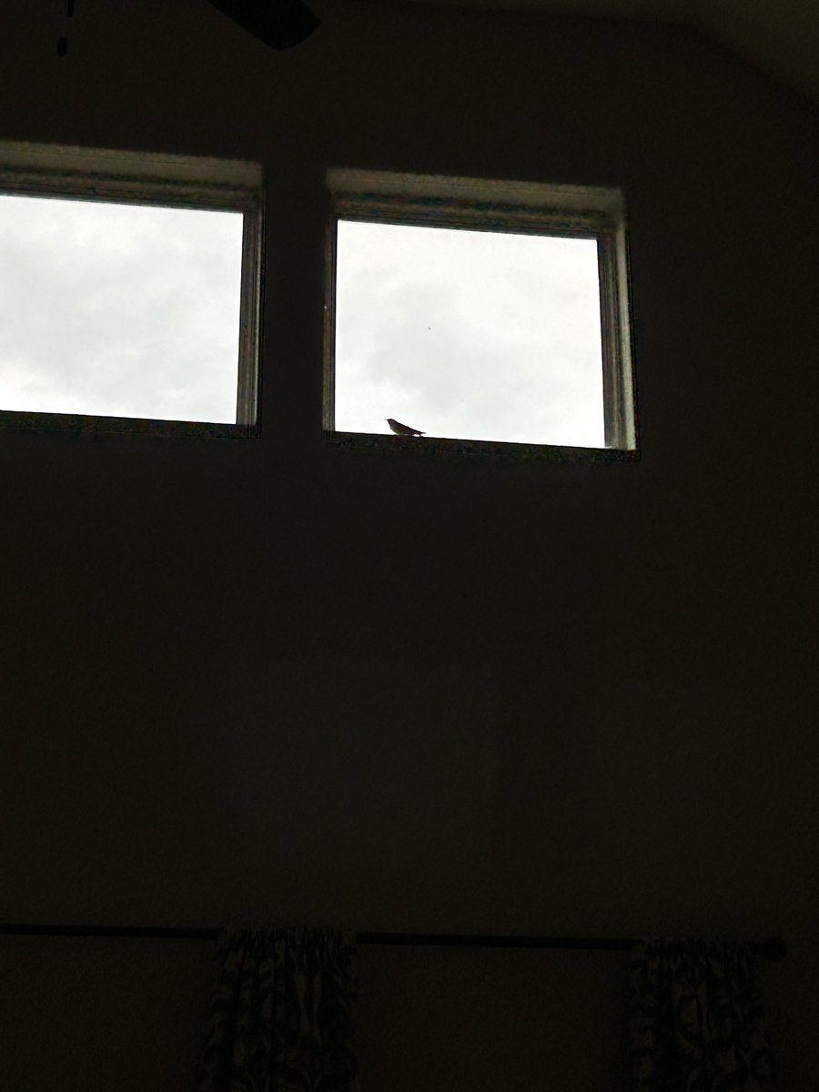 Deborah Sáenz tweet media