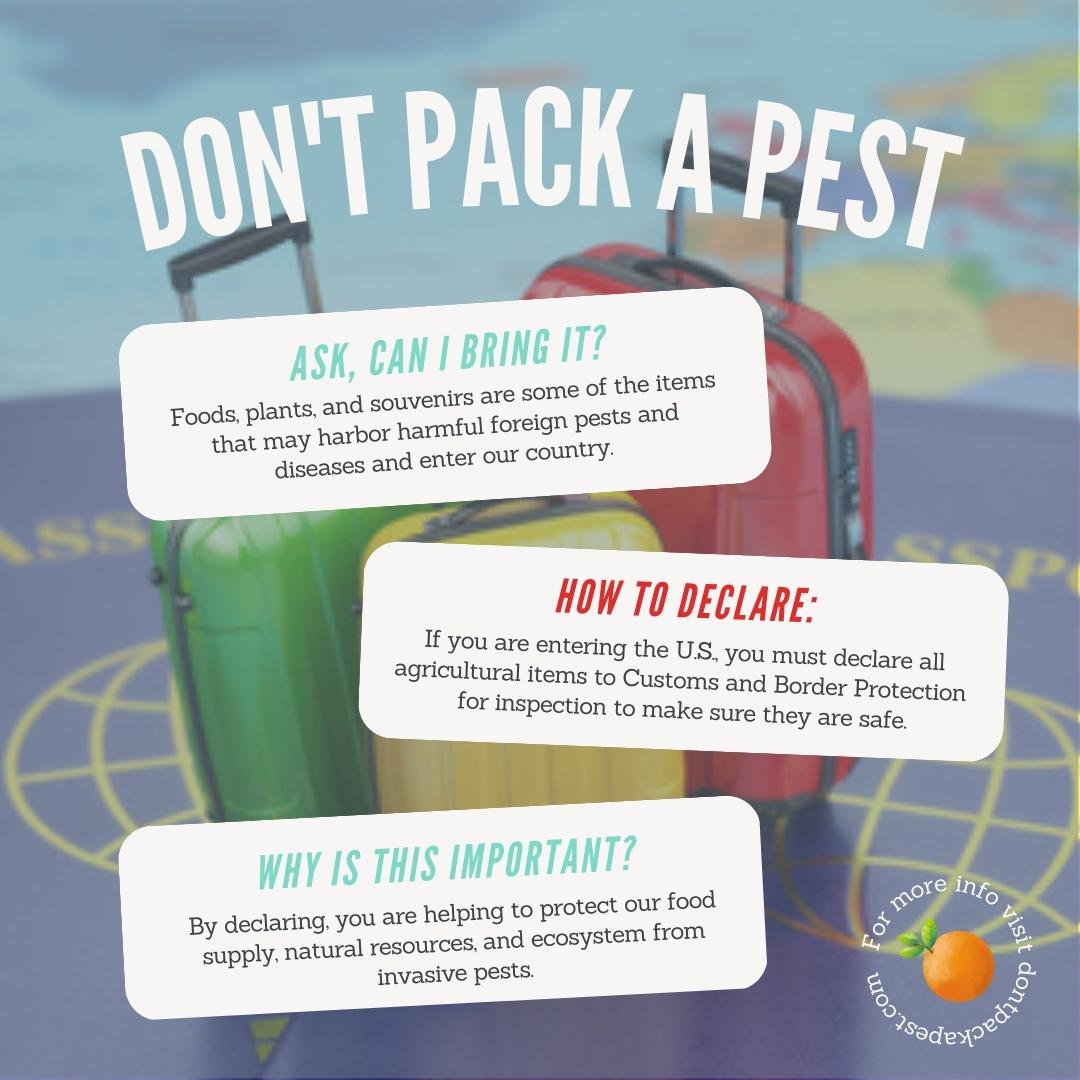 Don't Pack a Pest tweet media