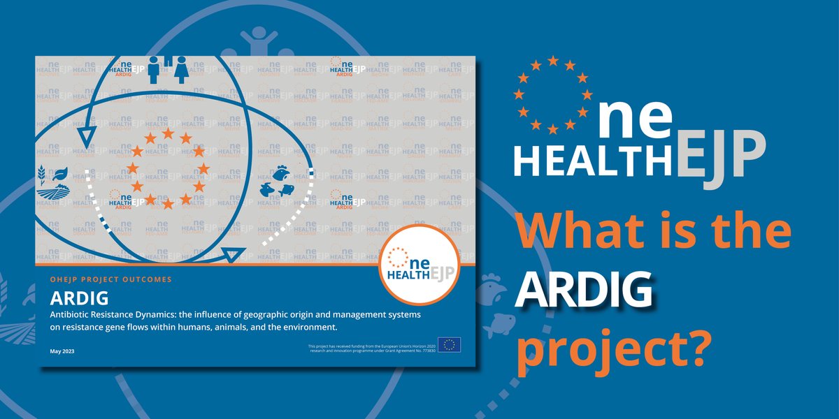 OneHealthEJP's tweet photo. 📢Our latest #dissemination #project #brochure is out! If you are interested in #antimicrobialresistance dynamics, persistence and transmission, have a look at the #ARDIG project #outcomes! Research collaboration by 10 OHEJP partners, led by @APHAgovuk👇
https://t.co/B4z8CnmVtn https://t.co/vsTUKBNnuZ