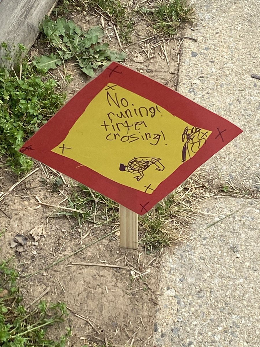 Campbell Elementary PTA (@campbell_pta) on Twitter photo #RT <a href="/CampbellAPS/">Maureen Nesselrode</a>: Turtle crossing! 🐢 love that students are looking out for the turtles ❤️ #RT <a href="/CampbellAPS/">Maureen Nesselrode</a>: Turtle crossing! 🐢 love that students are looking out for the turtles ❤️