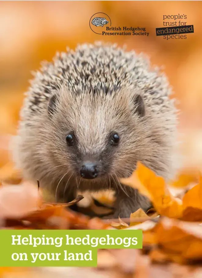Hedgehog Society on Twitter Its NatureFriendlyFarmingWeek For Biology Diagrams