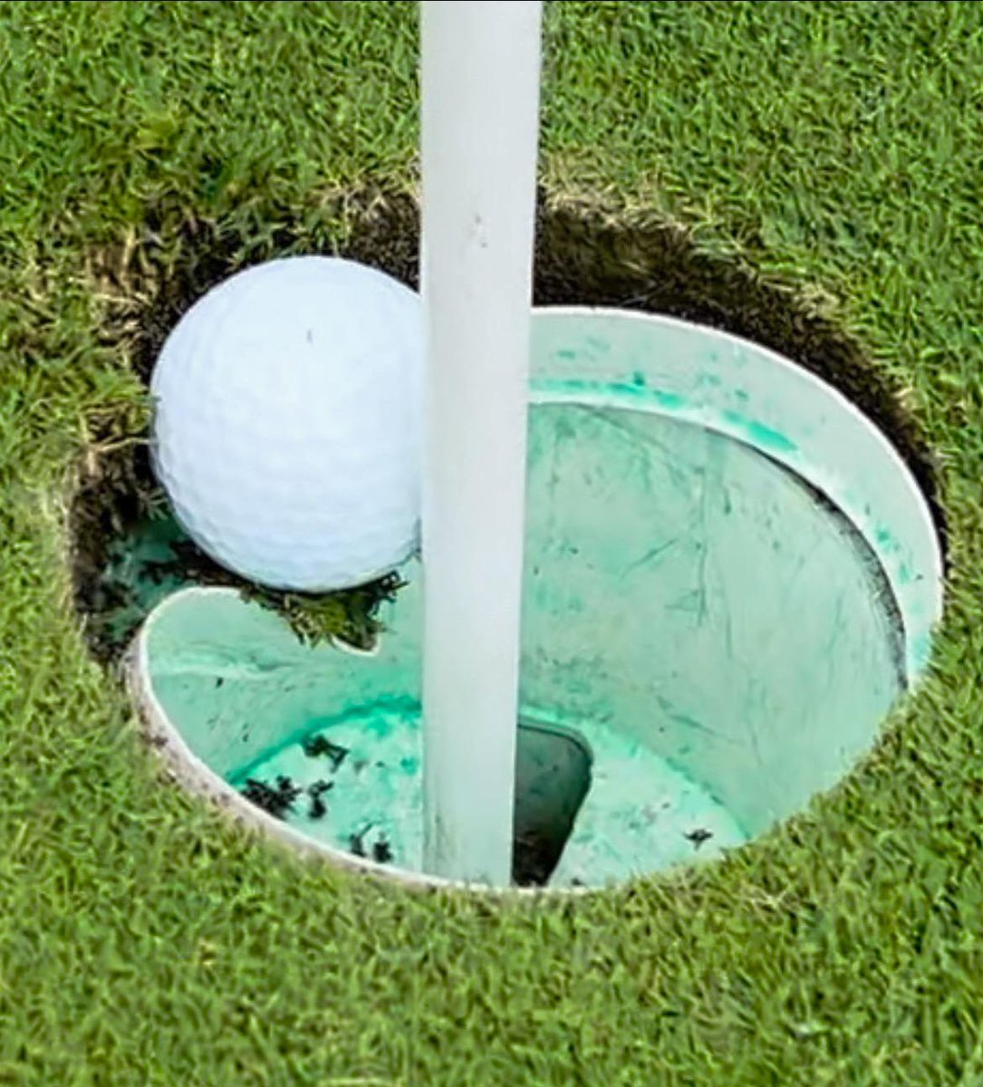 Caddie Network tweet media