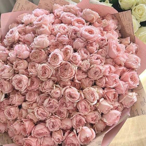 Gosh who doesnt love roses????

 #RosyFutureAhead