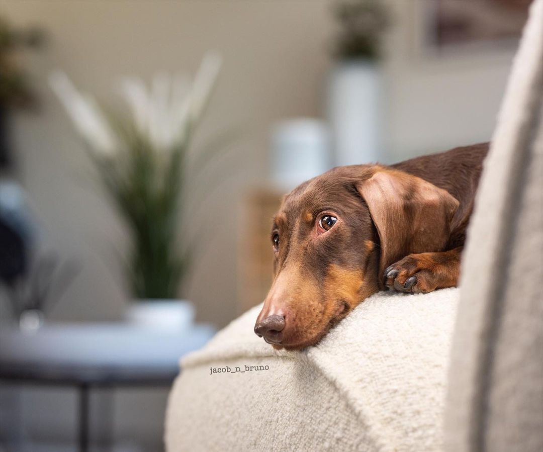 Who else is waiting patiently for the Easter Bunny?🐰