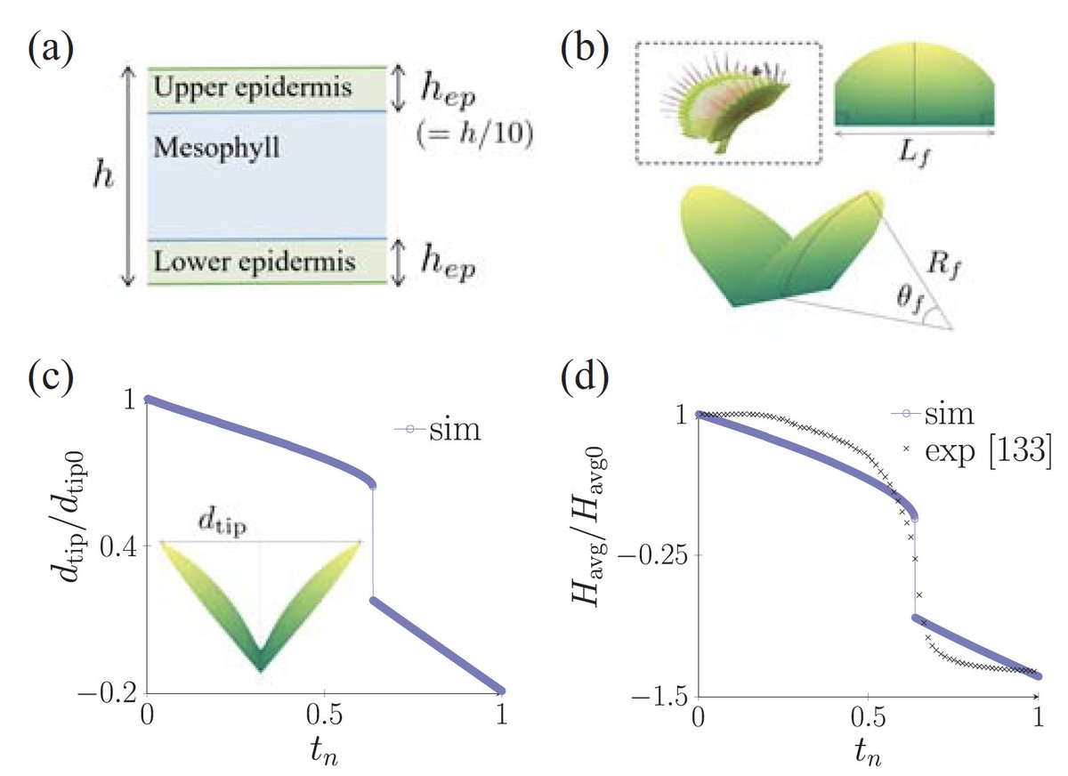 Douglas Holmes tweet media