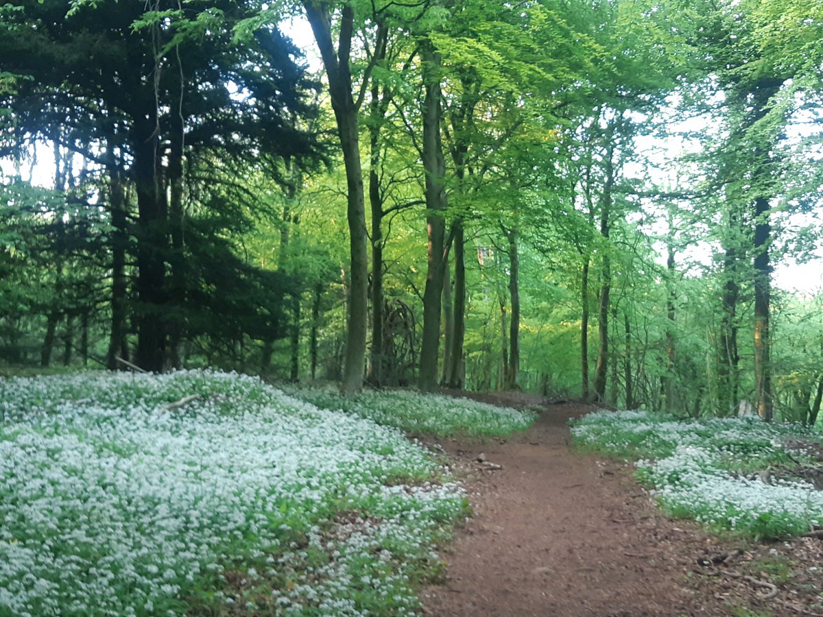 sue ranger (she/her) tweet media