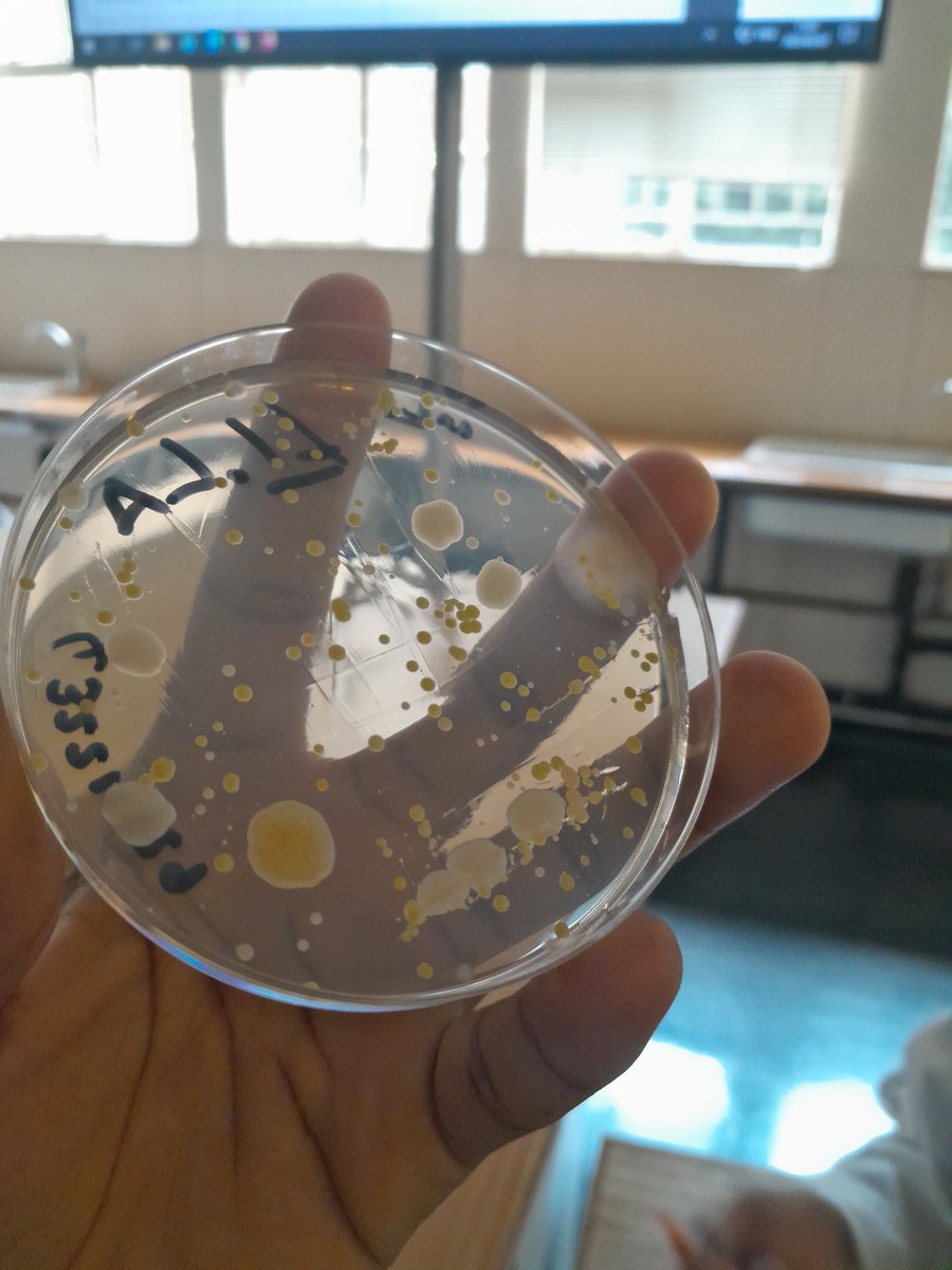 MicrosStudy tweet picture