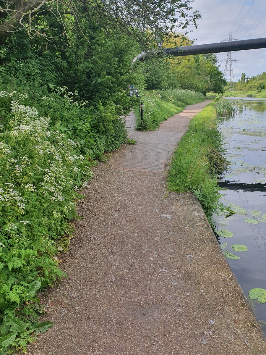 DarlastonWMP's tweet photo. As part of the WMP #opScepter knife sweeps #LifeorKnife campaign, Darlaston NHT have been conducting searchers for knives hidden or dumped at George Rose Pk, Kingshill Pk, Moorecroft Wood & the Darlaston canal tow paths. All good news all searches proved to be negative finds 👍 https://t.co/8fKWw2eFIg