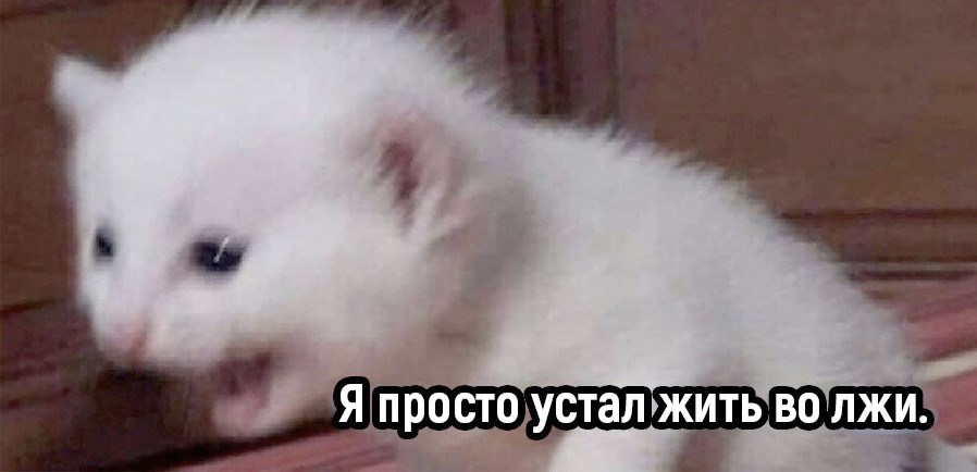 drunktwi's tweet photo. На упаковке майонеза написано "оливковый",а он белый.Белое сухое вино на самом деле жёлтое и мокрое,в крабовых палочках ни грамма крабов, бульонные кубики на самом деле бульонные параллелепип��ды,птичье молоко-не птичье,и даже не молоко, а на генеральной уборке ни одного генерала. https://t.co/YyeMJfT19f
