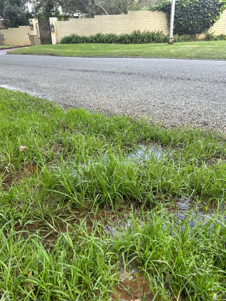 Creating our own street-side vlei here <a href="/JHBWater/">Johannesburg Water</a> - consistent leak and waste of water - reference # 8005972100