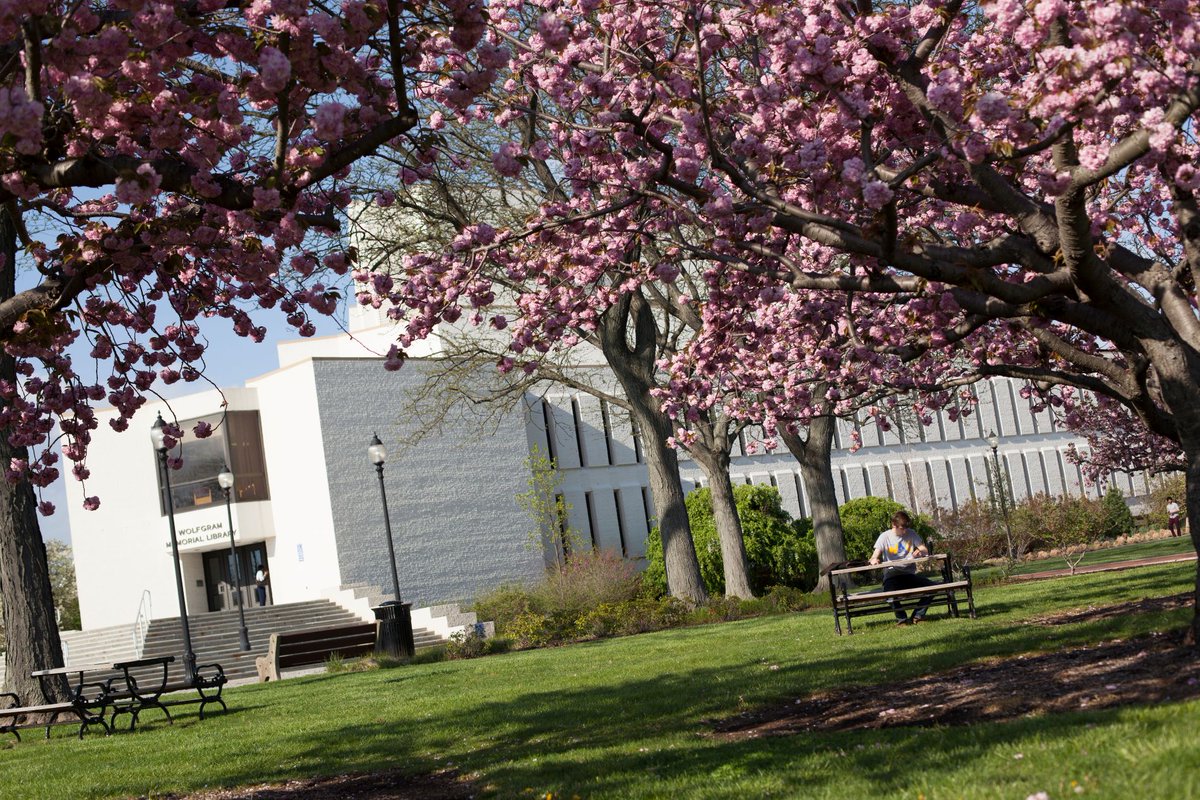 All alumni are welcome to request an account that permits off-campus access to a limited number of online library databases. Once the account is active, alumni can access these databases through MyAthens. 

For full info about library access for alumni:
alumni.widener.edu/alumni/resourc…