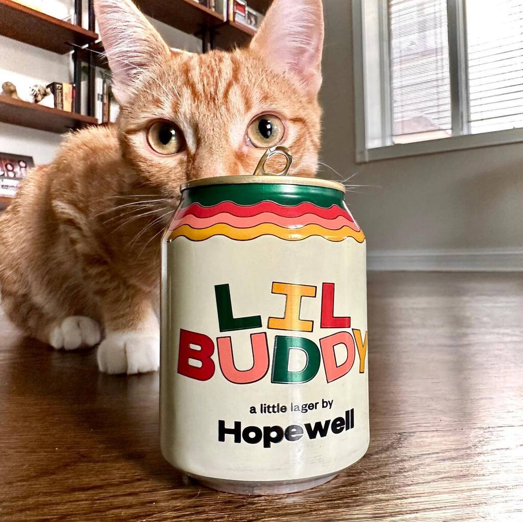 A couple lil ‘ buddies 
#craftbeer #kitty #smallbeer instagr.am/p/CsTeMN8O0S1/