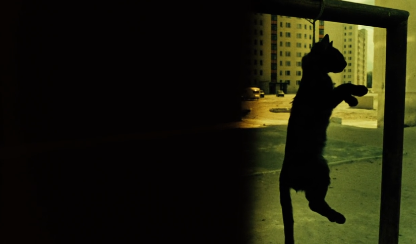 harmadik9's tweet photo. Krótki film o zabijaniu . A Short Film About Killing • Krzysztof Kieślowski • 1988 https://t.co/fhPbakZicJ