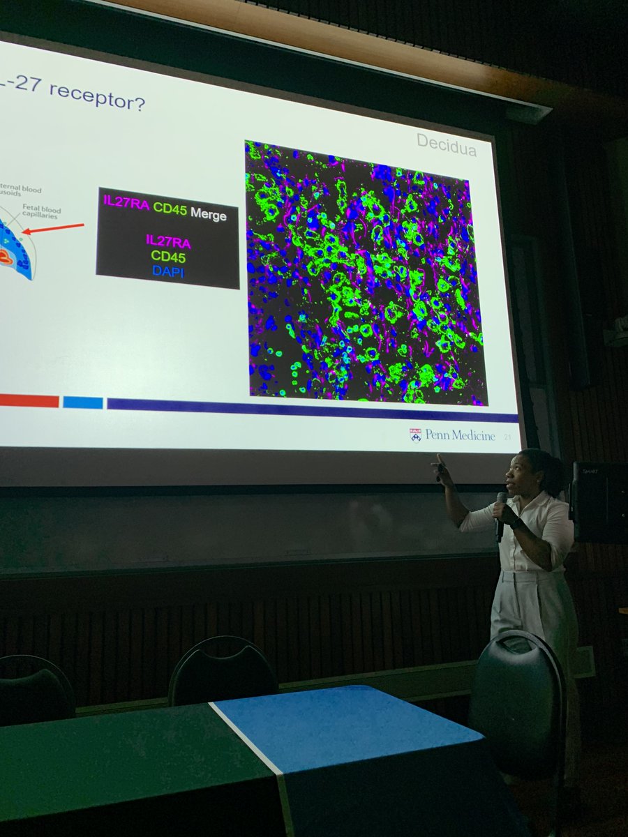 BriahBarksdale's tweet photo. Last week was busy with the PREP Regional Symposium and then my first American Association of Immunologists conference shortly after.

I enjoyed learning about different research projects across the country and sharing my own!
#PennPREP #AAI2023 #placenta #futureMDPhD https://t.co/j2OJuUumF4