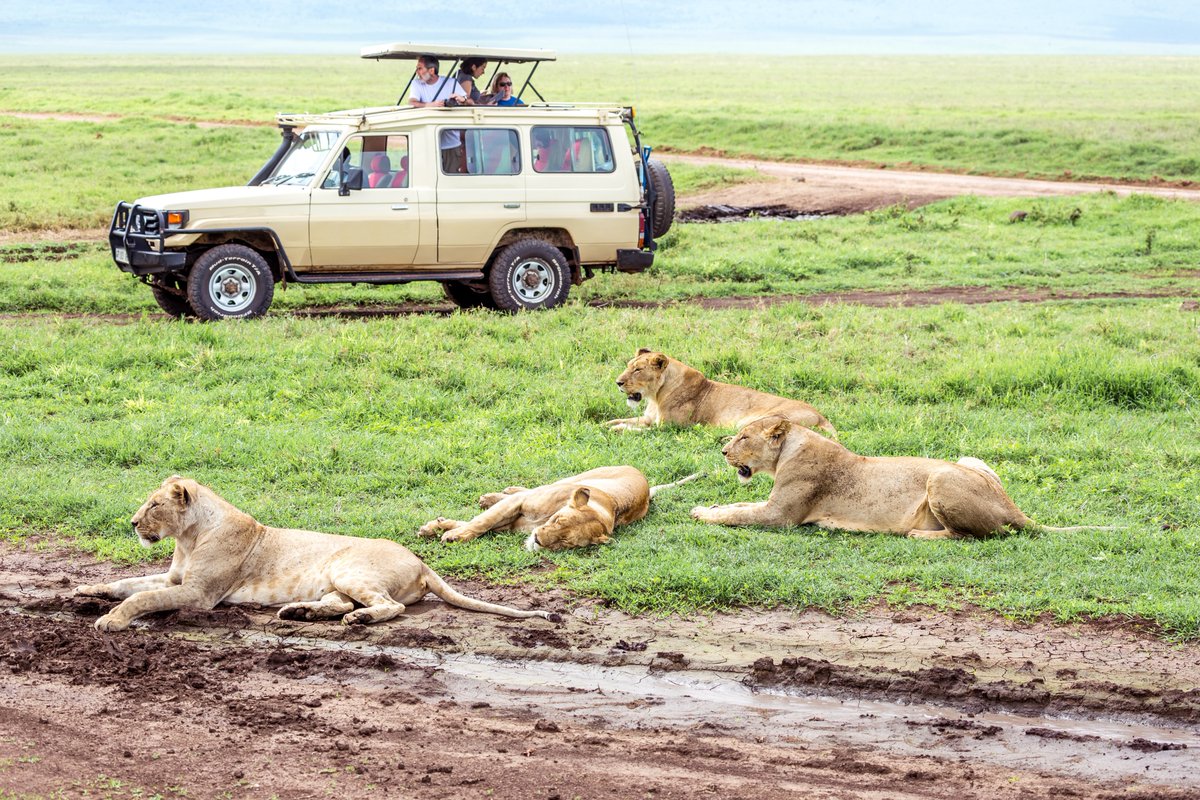 Enjoy Africa’s most definitive, magnificent & stirringly original wildlife experiences in Kenya & Tanzania. 
See More -  bit.ly/3MbK9vi

#lakenaivasha #lakenakurusafari #maasaimara #serengetimigration #serengetisafari
#ngorongorocrater #africansafari #tanzaniasafari