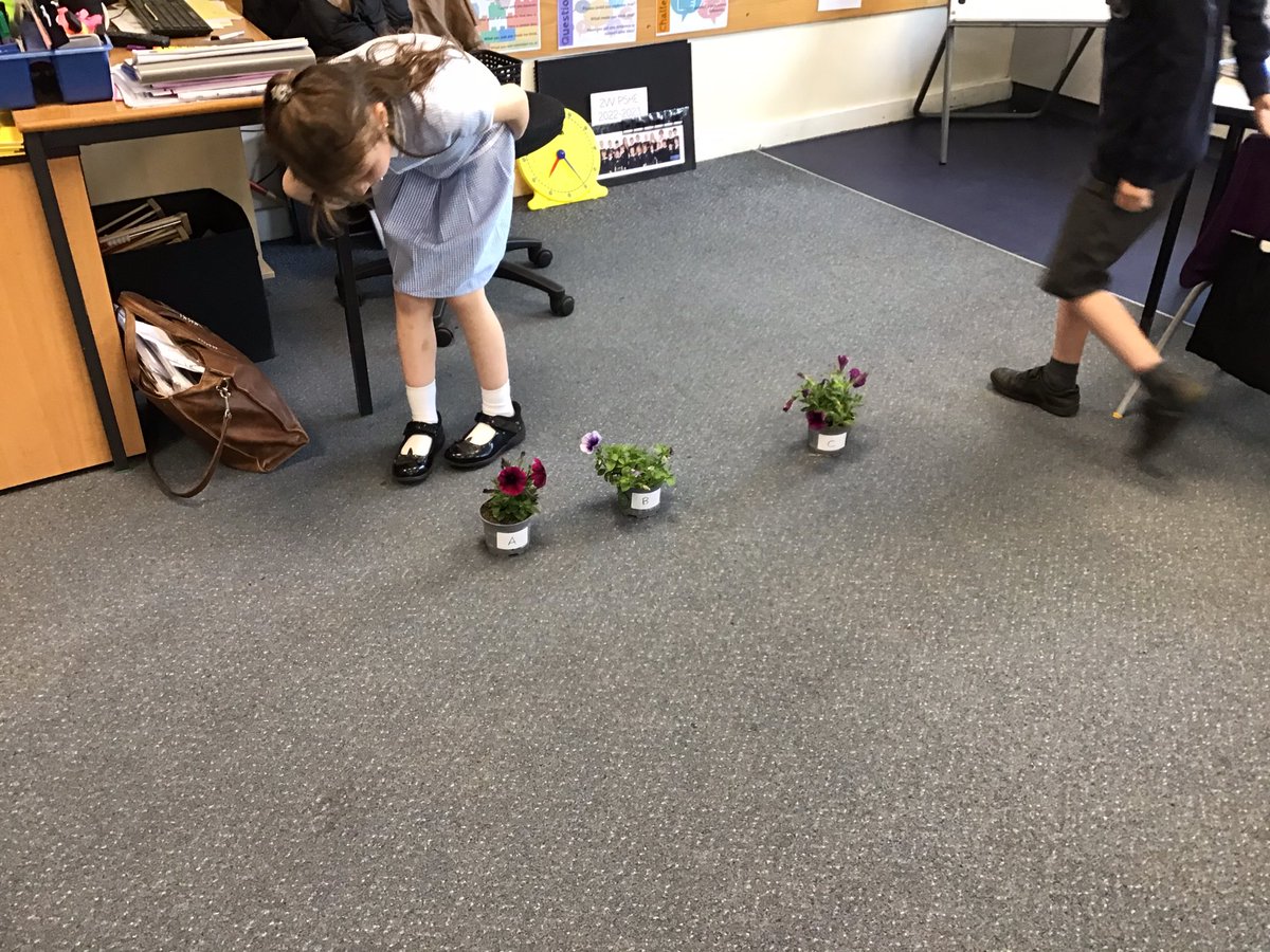 MrsW2200's tweet photo. #TockYear2 have enjoyed being botanists and observing changes to plants. We planned our experiment, talking about how we can make it a fair test, and now we’re going to observe over time. #TockScience @Tockwithcofe https://t.co/Awvvb8BfRJ
