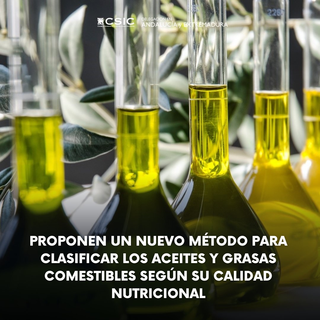 Proponen un nuevo método para clasificar los aceites y grasas comestibles según su calidad nutricional

La clasificación, desarrollada por investigadores del <a href="/institutograsa/">Instituto de la Grasa-CSIC</a>, pretende promover distintas opciones de alimentos saludables y nutritivos
ℹ️bit.ly/3pOUqGb