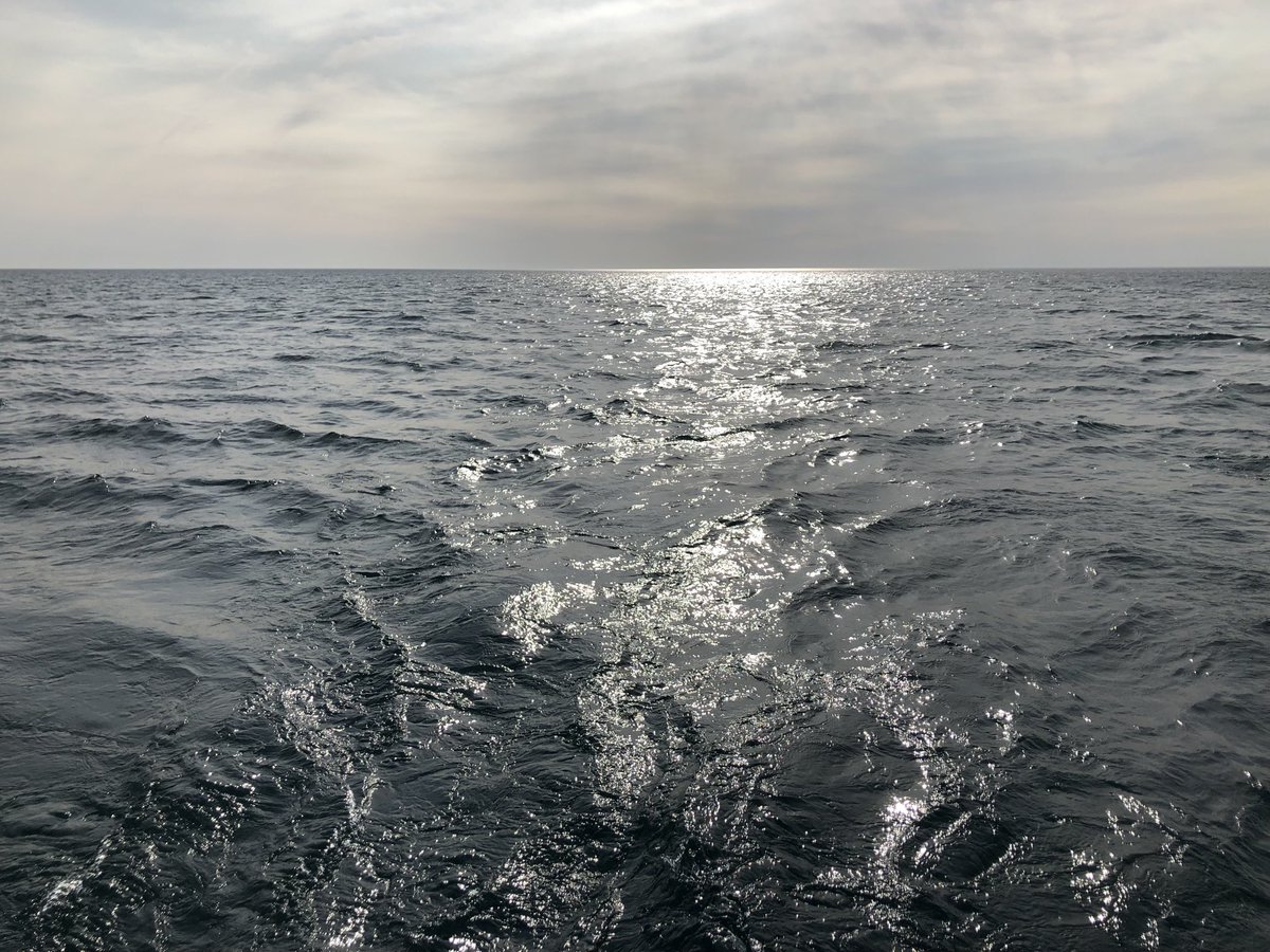 frigof's tweet photo. Hello ⁦@LakeMichigan13⁩ https://t.co/cPCJmAep1v