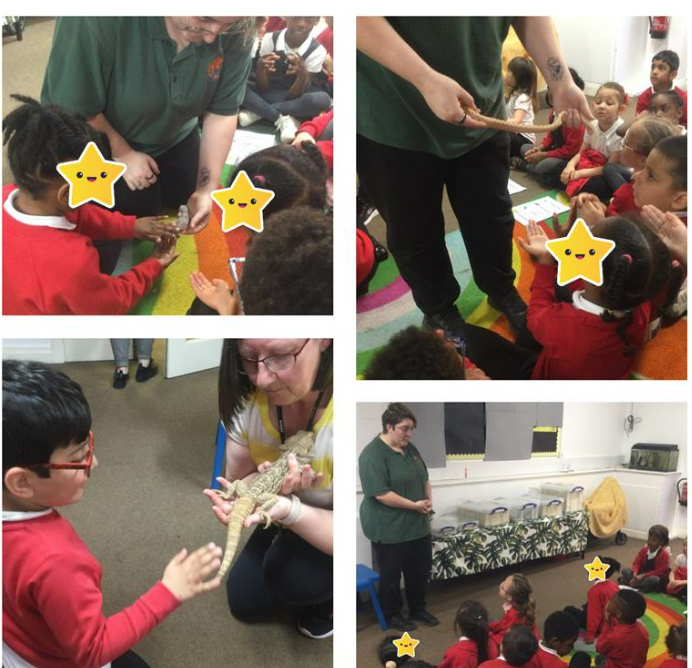 OTCAcademy's tweet photo. Year 1 and Year 2 enjoyed learning all about the animals that came to visit us this week. Ask your child which animal they met 🐍🐌🦎
We think Mrs Boardman enjoyed the experience too!
@FocusTrust1
#animalexperience https://t.co/8ljjO6NcGy