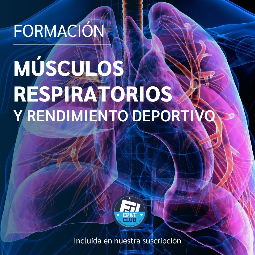 ChicharroJL's tweet image. Los músculos respiratorios son clave en la función pulmonar y en la regulación de la respiración. El diafragma es el músculo principal de la respiración y su entrenamiento puede mejorar la capacidad pulmonar y la ventilación 🏃

Hilo👇 y una recomendación de nuestra suscripción