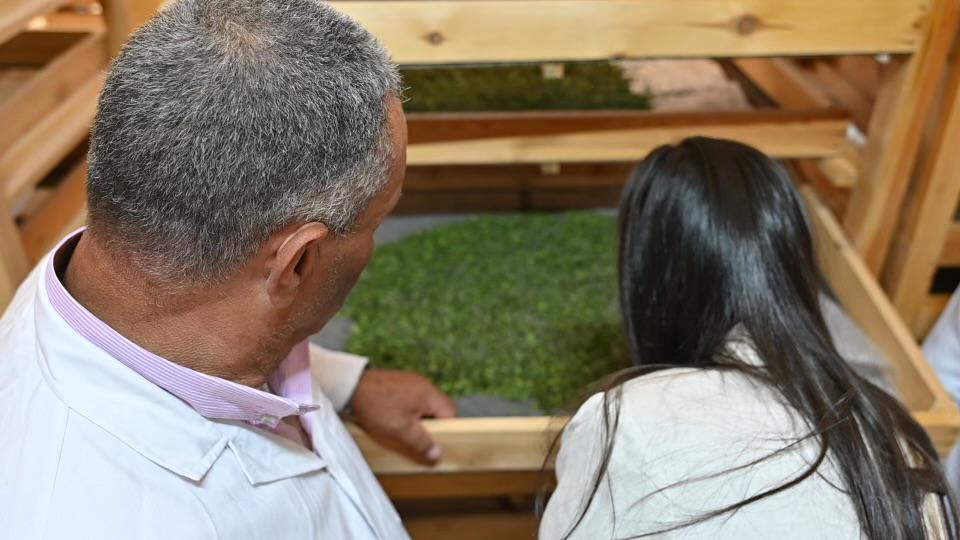 UNDPEgypt's tweet photo. Visited the Developing Silkworm Rearing & Natural Silk Production project at Naqada Farm & was amazed by the impact its had on rural incomes.
#ENIDs farm has already created +2,584 employment opportunities including women who are creating beautiful carpets using natural silk! https://t.co/2ADicYZklm