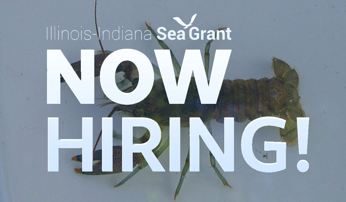We're hiring! Join the <a href="/ILINSeaGrant/">Illinois-Indiana Sea Grant</a>/<a href="/INHSillinois/">Illinois Natural History Survey</a>  Aquatic Invasive Species Team - we're looking for someone interested in both research + outreach about invasive crayfish in the #GreatLakes region. Position based in Glencoe, IL; applications due June 4 iiseagrant.org/hiring-aquatic…