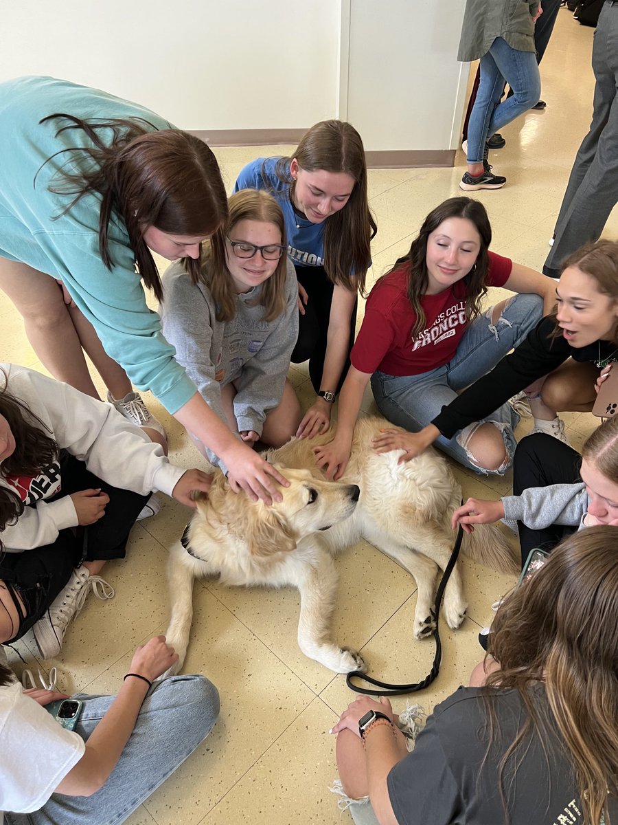 Building bridges w/international students, belly rubs, making people happy, & seeing some of the seniors at Gretna High one last time before they graduate…it was a great day! #allinadayswork 🐾#therapydog #goldenretriever ⁦@SarpySheriff⁩