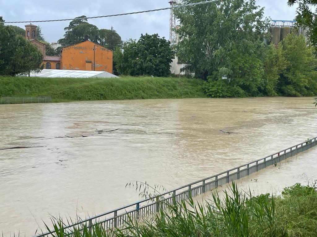 McDuck ⚡️ tweet media