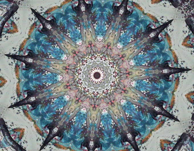Image from Anje Vela (@AnjeVela)
