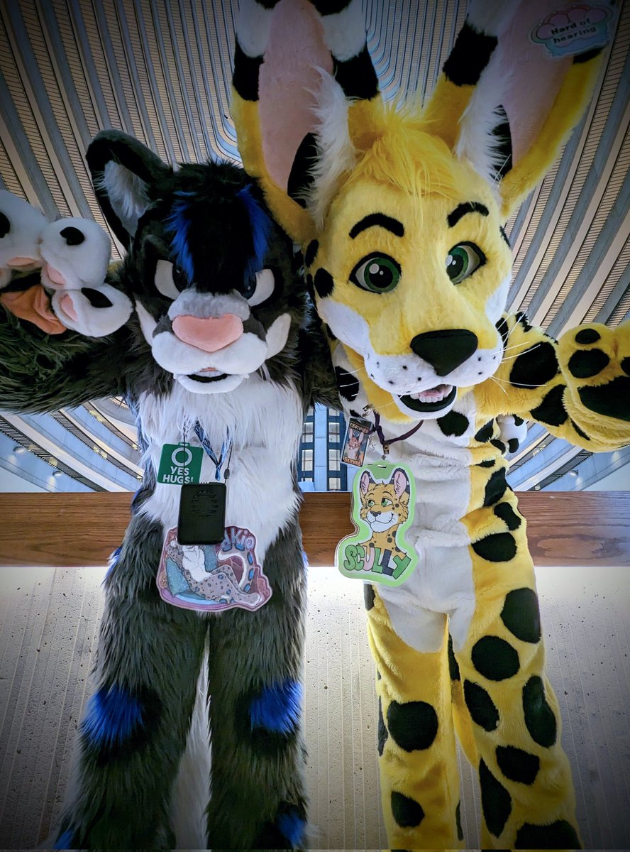 tythepurp's tweet photo. These cats are about to drop a sick new album. What's the name?

Ft. @AkioSnep @ScullyServal https://t.co/LVaQwclcNW