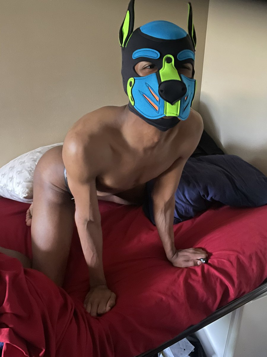 PupToska's tweet photo. GOOD MORNING RUFF RUFF!!! Yes, Iโve been know to sleep with my butt high in the air, incase any monsters want some free dairyer ๐ด๐
#pupplay #gaychasity #Teamlocked #lockedpup #pupbutt #daddysboi https://t.co/xdigYwIk7P
