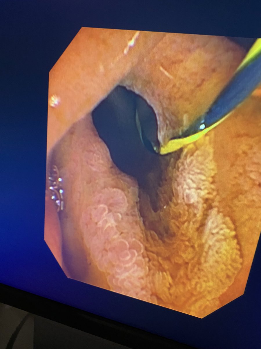 Saad Alrajhi-سعد محمد سعد الراجحي tweet media