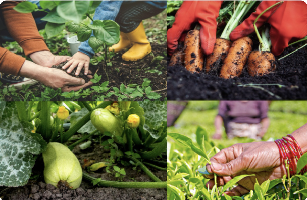 health_TIDE's tweet photo. Learning Circle Starting Today (5/16, 5/18, &amp; 5/23):

Tribal Early Childhood Research Center Indigenous Food Sovereignty in Early Childhood Virtual Learning Circle Series

https://t.co/7xDgLkW4fr https://t.co/N8yAaGujx6