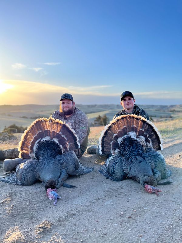 Gobblers down for some of our clients!   Photo: Will Edwards - Caleb Moninger  Link: venku.com/listing/s/nebr… 

#gobble #turkey #nwtf #tagnotched #fueledbynature #huntmoreworryless #chasinturkey #venku