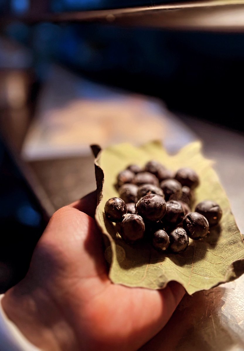 Not blueberries.