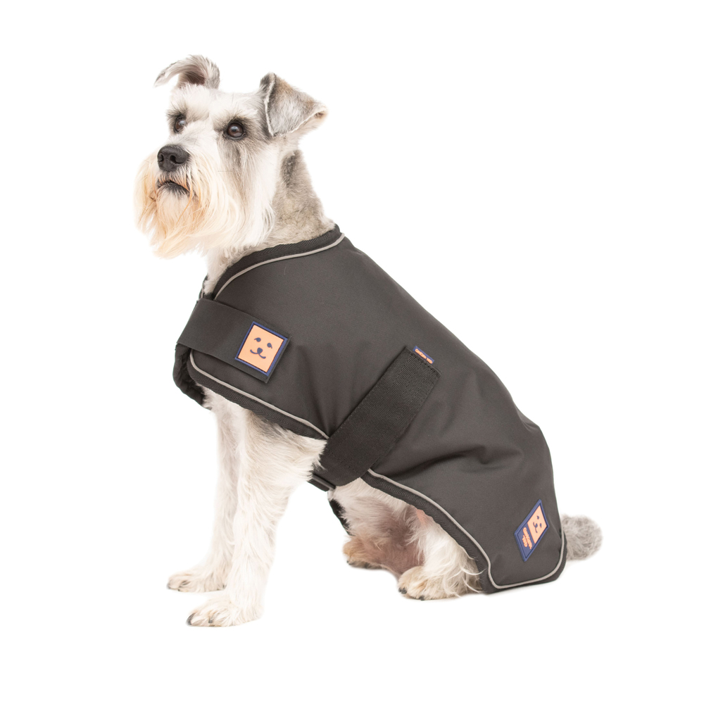 GingerTedUK's tweet photo. 🌦️Lightweight, Waterproof Summer #Dog Jackets
#Sighthounds #Dachshunds #Pugs #Frenchies #Bulldogs
🫴 SHOP LIGHTWEIGHT HERE:  https://t.co/cmelel9o4w
🚚Shipping to #UK #Europe  #NorthAmerica https://t.co/GpVlkKjnHQ